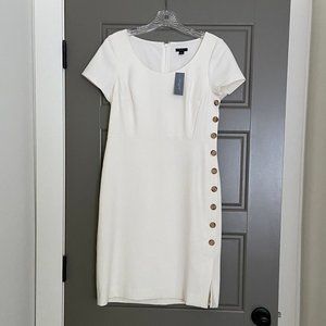 NWT Ann Taylor Cream Dress